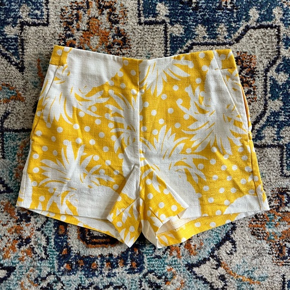 🆕 Sz 2P 🍍 Ann Taylor high waist side zip shorts — pineapple print - Picture 2 of 3